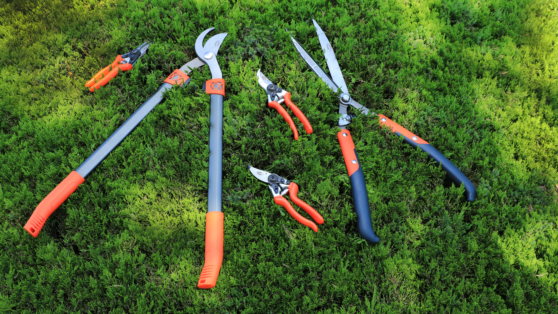 أدوات قطع الحديقة